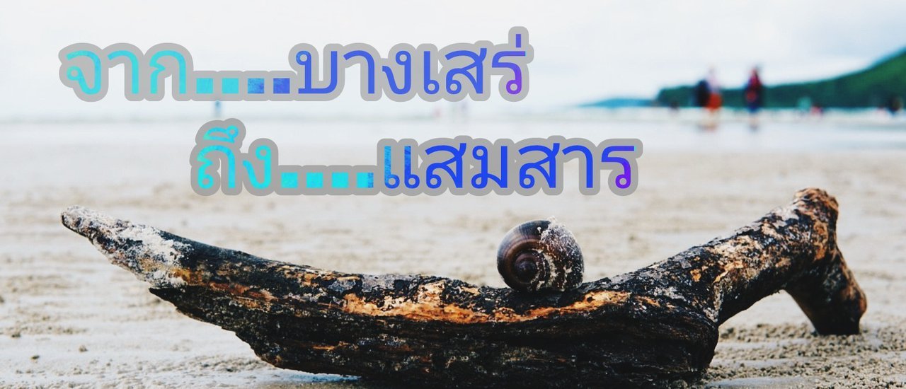 cover จาก....บางเสร่ ถึง....แสมสาร
