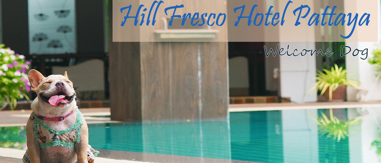 cover Happy DOG @Hill Fresco Hotel Pattaya