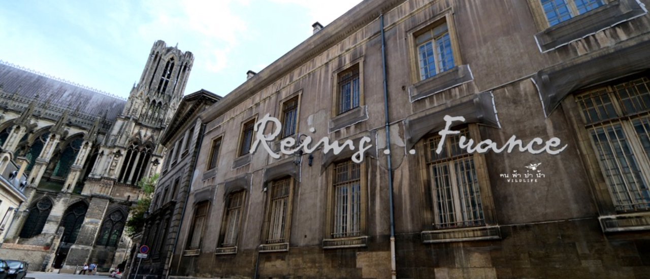 cover แร็งส์ (Reims) เมืองเล็กๆที่น่าหลงใหล…