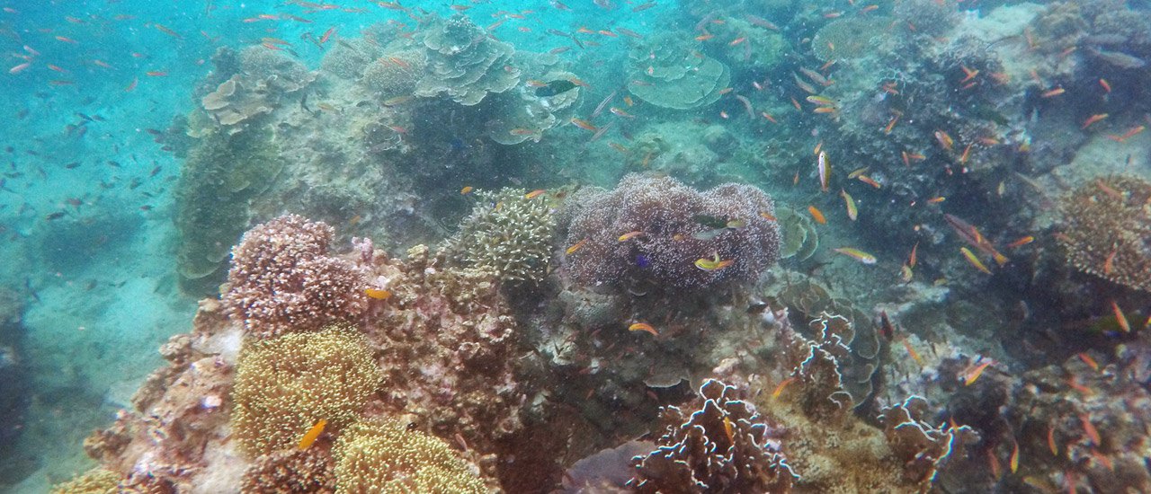 cover Travel in Ranong...Then heading to Myanmar Sea “Cocks Comb”