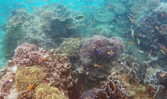 Cover Travel in Ranong...Then heading to Myanmar Sea “Cocks Comb”...