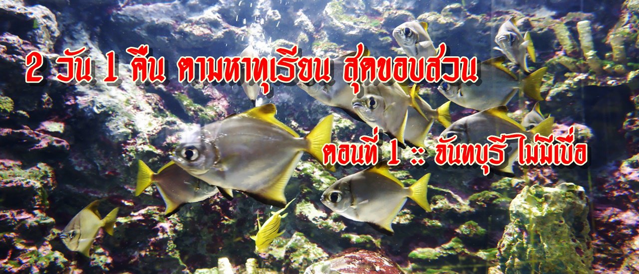 cover 2 วัน 1 คืน ตามหาทุเรียน สุดขอบสวน ตอนที่ 1 :: จันทบุรี ไม่มีเบื่อ