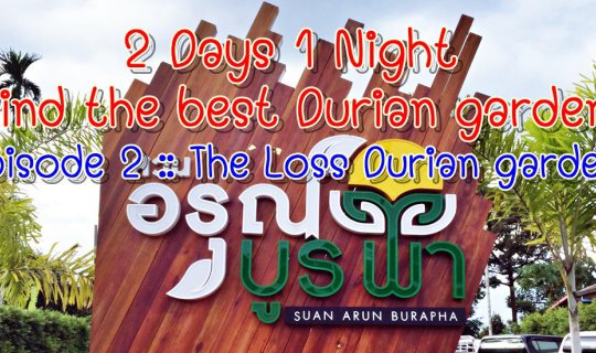 cover 2 Days 1 Night :: Find the best Durian garden - Episode 2 :: The loss Durian garden.