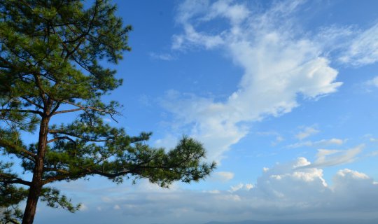 cover ภูกระดึง ภูเขาที่ทำให้เรารู้สึกเหมือนอยู่อีกโลก