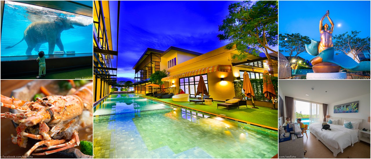 cover วันหยุดสุดสบายไปดูช้างเล่นน้ำ แล้วพักที่สิกขรา พลาโช่