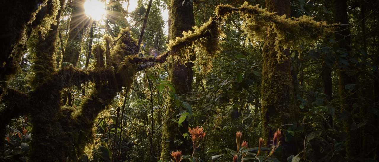 cover :: ผ้าห่มปก เส้นทางเดินป่าที่สูงที่สุดของเมืองไทย ::