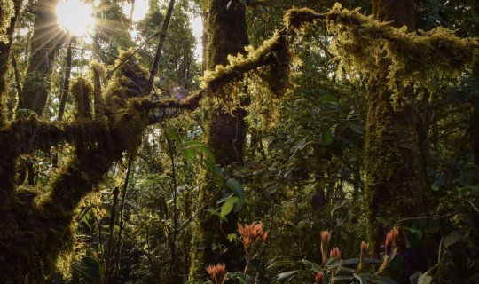 cover :: ผ้าห่มปก เส้นทางเดินป่าที่สูงที่สุดของเมืองไทย ::