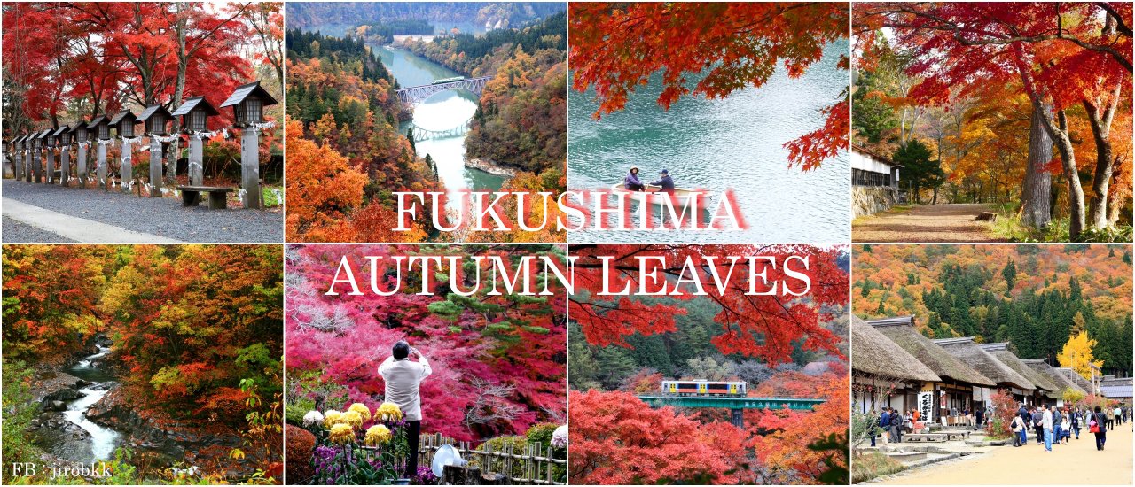 cover ชี้เป้า 13 จุดแหล่งชมใบไม้เปลี่ยนสีของดีจังหวัด Fukushima