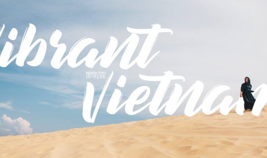 cover VIBRANT VIETNAM| เที่ยวเวียดนามใต้ 4 วัน 4 คืน ทั้งสวนดอกไม้ ภูเขา ทะเลทราย และ เมืองใหญ่~