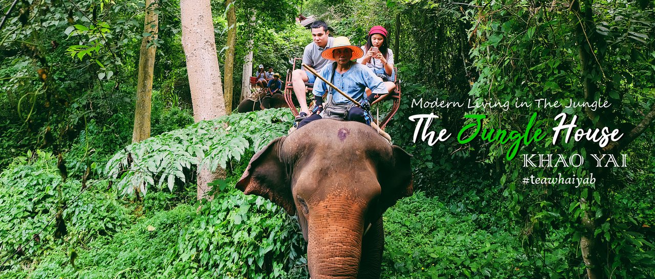 cover 10 เหตุผล ที่เลือกเข้าพัก The Jungle House Khaoyai