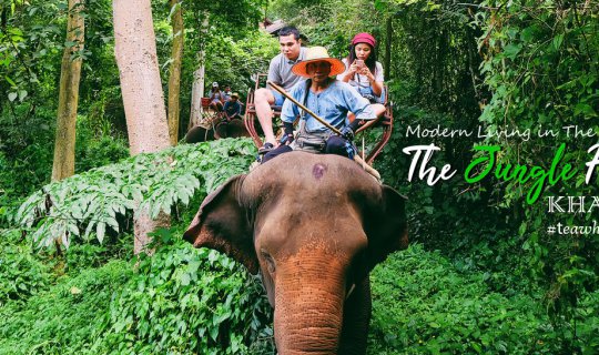 cover 10 เหตุผล ที่เลือกเข้าพัก The Jungle House Khaoyai