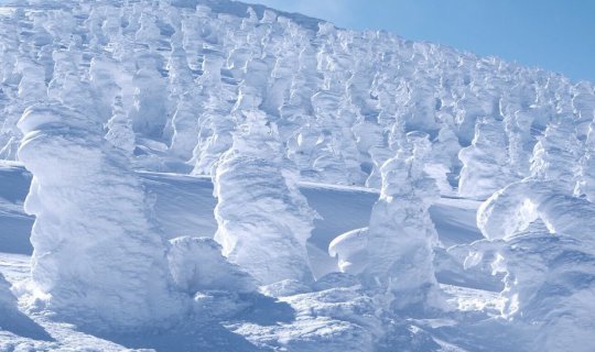 cover Zao Onsen ในวันที่ฟ้า.....เป็นใจ