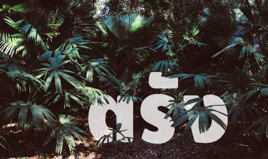 Cover Trang2017 : ชวนสองสาวสวยไปเสียวที่ตรัง!!...