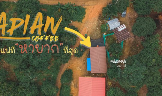 cover Lapian  Coffee ร้านกาแฟที่หายากที่สุด