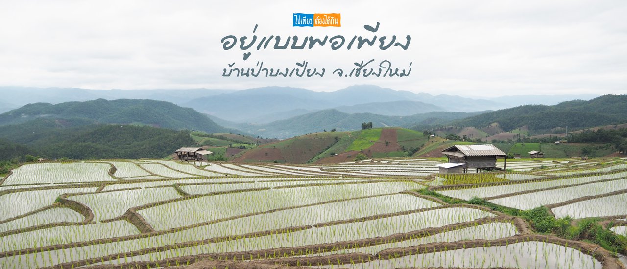 cover อาสาถอนต้นกล้า ปักดำนาที่บ้านป่าบงเบียง จ.เชียงใหม่