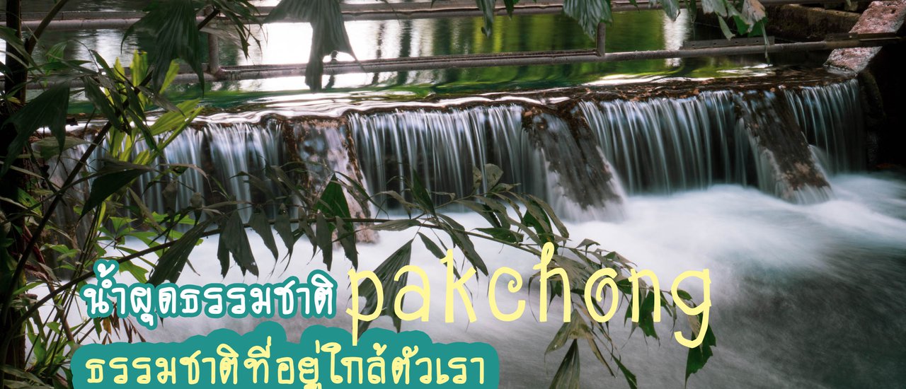 cover เที่ยวหน้าฝน ที่บ่อผุดธรรมชาติ...เขาใหญ่ หรือที่ชาวบ้านเรียก "น้ำพุ" ธรรมชาติ