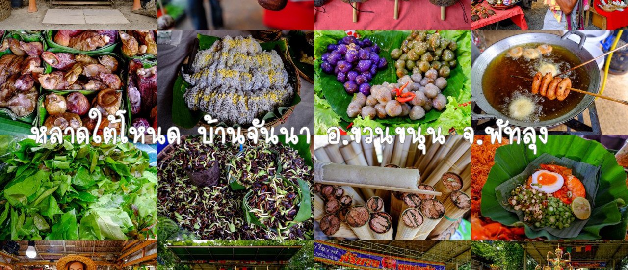 cover หลาดใต้โหนด บ้านจันนา อำเภอควนขนุน จังหวัดพัทลุง