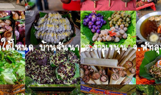 cover หลาดใต้โหนด บ้านจันนา อำเภอควนขนุน จังหวัดพัทลุง