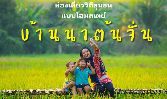cover บ้านนาต้นจั่น จังหวัดสุโขทัย