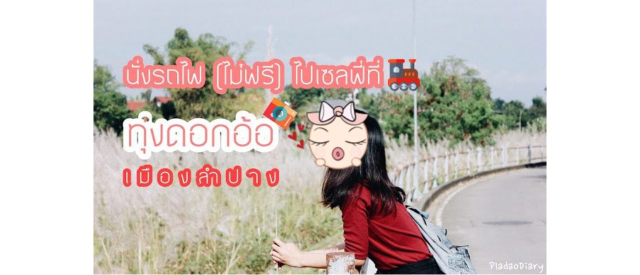 cover นั่งรถไฟ (ไม่ฟรี) ไปเซลฟี่ที่ "ทุ่งดอกอ้อ" เมืองลำปาง