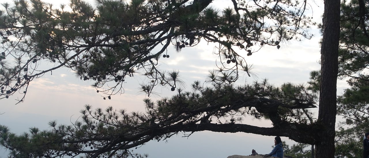 cover ครึ่งหนึ่งที่ภูกระดึง 3วัน2คืน