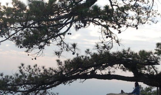 Cover ครึ่งหนึ่งที่ภูกระดึง 3วัน2คืน...