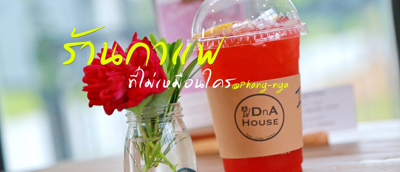 cover DnA House ร้านกาแฟที่เป็นทุกอย่าง!