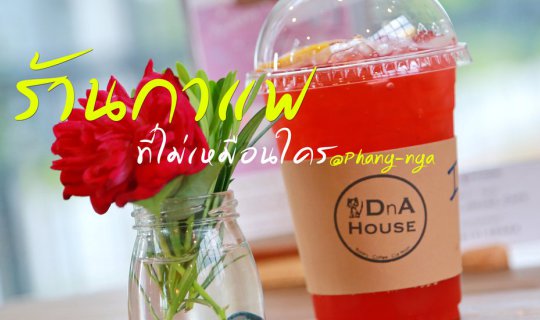 cover DnA House ร้านกาแฟที่เป็นทุกอย่าง!