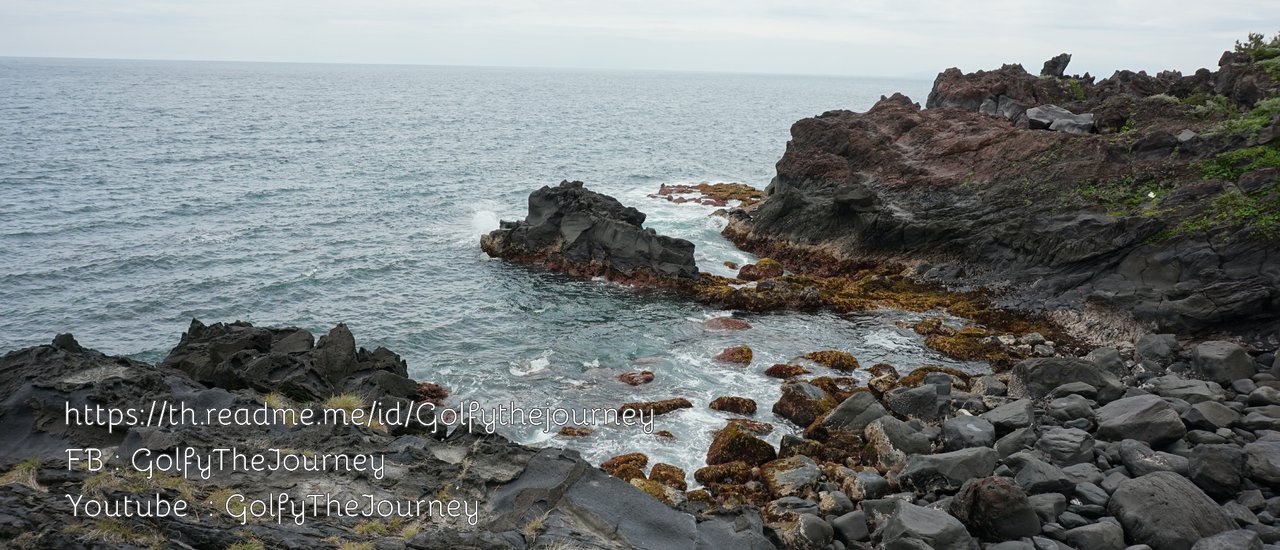 cover ชายฝั่งโจกาซากิ - Jogasaki Coast เที่ยว 1 วัน เมืองน่ารัก ใกล้ โตเกียว