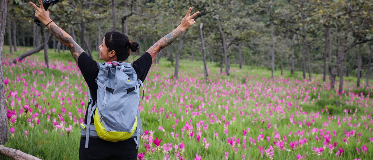 cover 'Siam Tulip Field, Sai Thong National Park, Chaiyaphum' - Travel Without A Car!