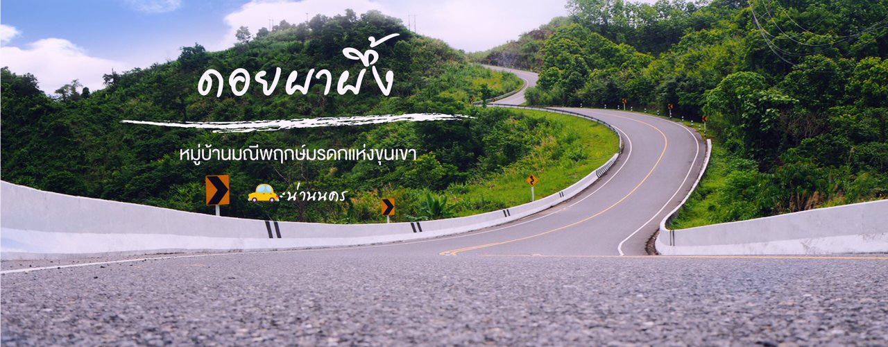 cover ชิมชา ชมดอย ณ บ้านมณีพฤกษ์