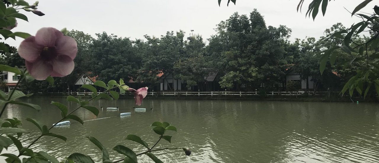 cover “โชติกาธารา รีสอร์ต” ที่พักกลางทุ่ง บนเส้นทางไปน้ำตก นครนายก