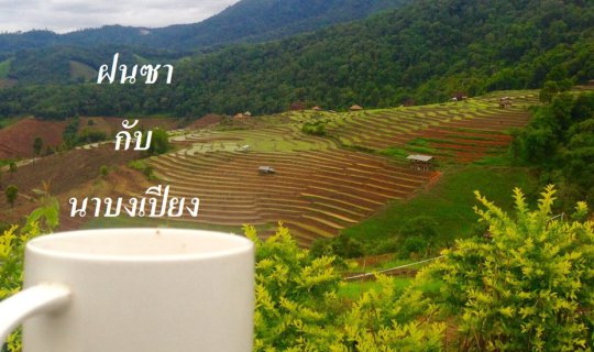 Cover ฝนซากับนาบงเปียง...