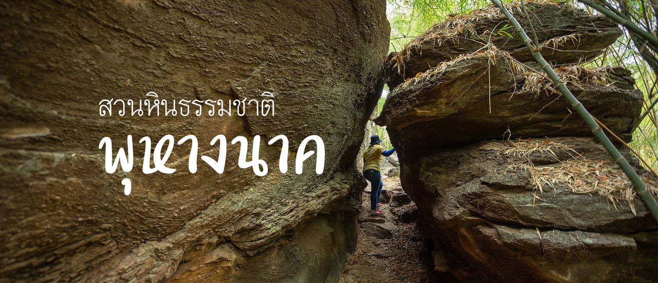 cover สวนหินธรรมชาติ พุหางนาค