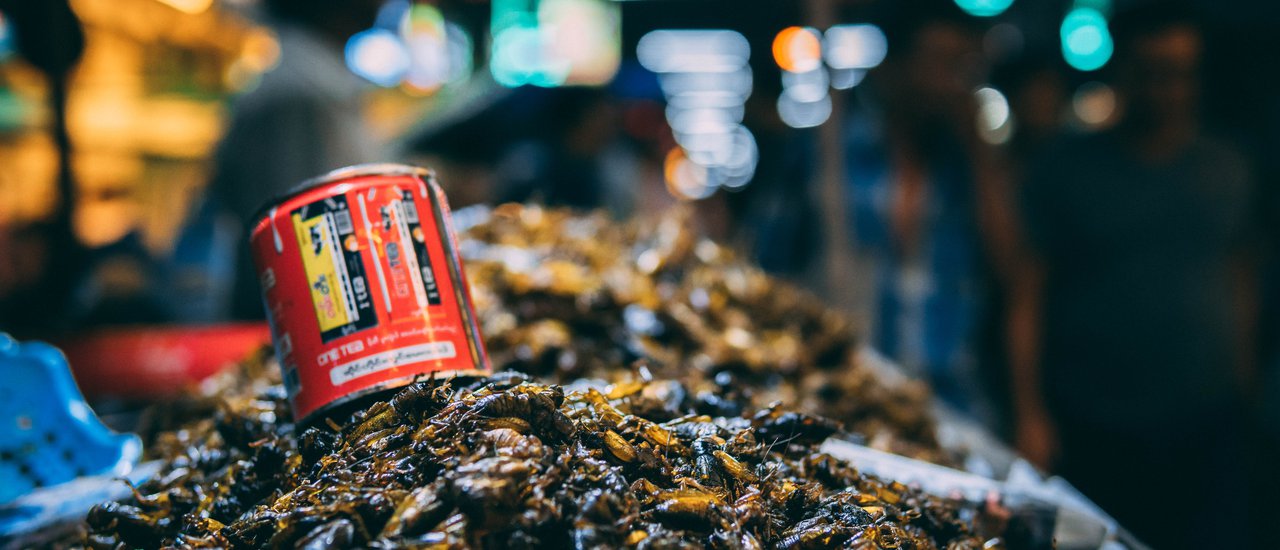 cover Weird Worldy Cuisines And How to Eat Them