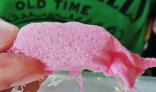 cover ตะลุยเที่ยวกิน ถิ่นอ่างทอง