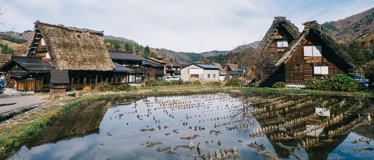 cover Autumn in Japan 14 Days 13 Nights Part 1. Let's travel to Japan together.