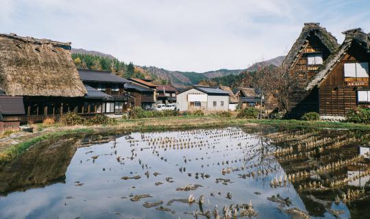 Cover Autumn in Japan 14 Days 13 Nights Part 1. Let's travel to Japan toge...