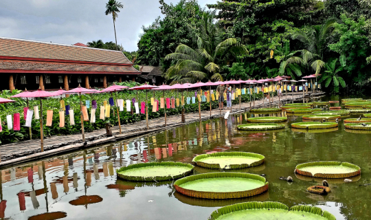 cover ชมวัดงาม ณ วัดเจ็ดลิน สะพานโต่วะ หนองน้ำประวัติศาสตร์คู่เมืองเชียงใหม่ ^^