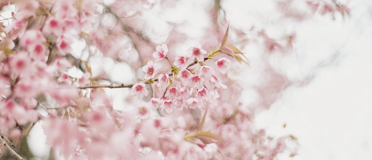 cover หนีฝนไปหาเขา ที่ทับเบิก