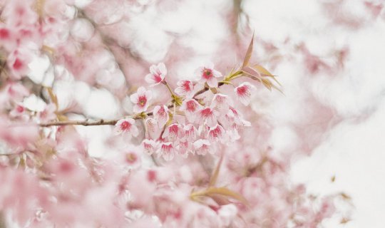 cover หนีฝนไปหาเขา ที่ทับเบิก