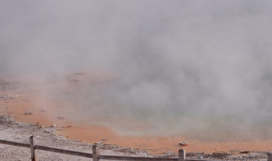 Cover student tour ที่นิวซีแลนด์...