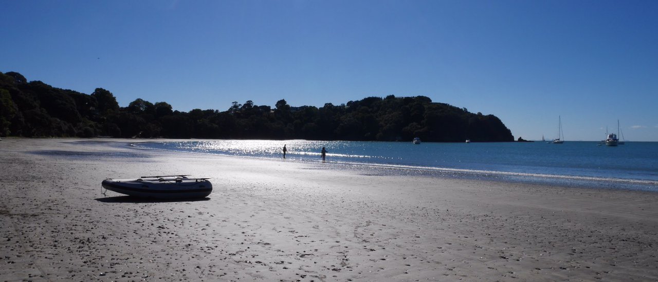 cover เที่ยวรอบเมือง Auckland