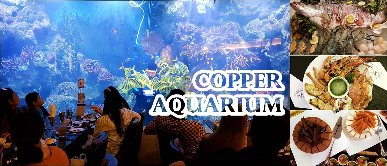 cover ดูปลาฟิน ดินเนอร์เพลิน @ Copper Aquarium Restaurant