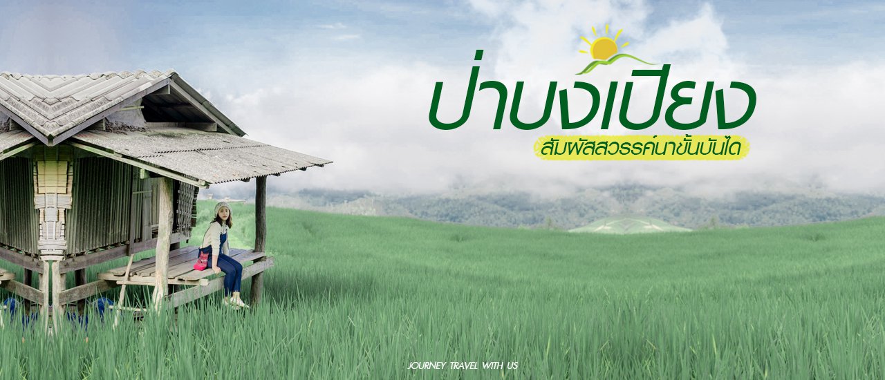 cover ╭♥ สัมผัสสวรรค์นาขั้นบันได 🌳 ป่ า บ ง เ ปี ย ง 🌳