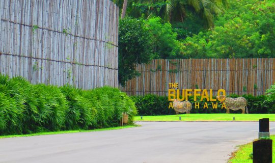 cover เกาะเส้นพระราม 2 ไปฟินที่ >>ครัวผู้ใหญ่จอยคลองโคน-Buffalo Amphawa-Bangkok Tree House- พบรัก บางน้ำผึ้ง