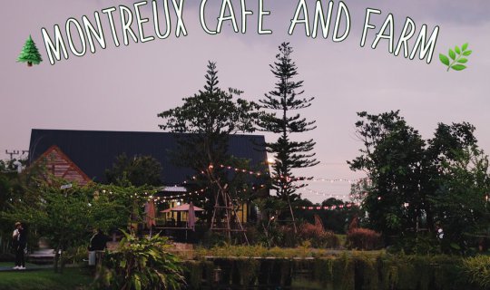 cover Montreux Cafe' and Farm คาเฟ่สวยบรรยากาศท้องนา