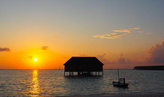 cover Maldives in Love | "Meeru Island Maldives", the Dreaming Destination and a Surprised Honeymoon Suite Upgrade with 40,000 THB per person Budget (Tons of Photos)