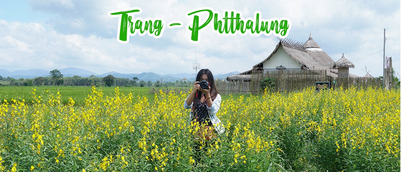 cover 5 จุดเที่ยวแนะนำ เมื่อไป ตรัง-พัทลุง