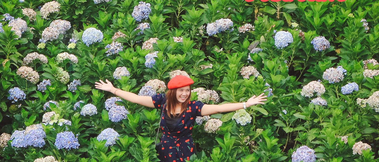 cover Dalat-Muine พกเงินไม่ถึงหมื่นก็เที่ยวได้!!!